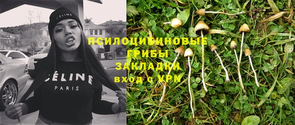 ГАЛЛЮЦИНОГЕННЫЕ ГРИБЫ Краснотурьинск