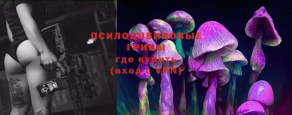 ГАЛЛЮЦИНОГЕННЫЕ ГРИБЫ Краснотурьинск