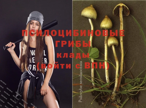 ГАЛЛЮЦИНОГЕННЫЕ ГРИБЫ Краснотурьинск