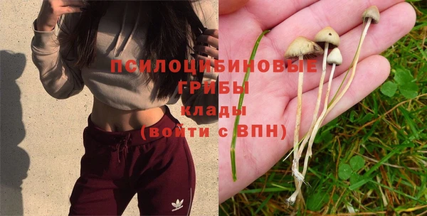 а пвп мука Куйбышев