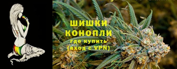 бошки Ладушкин