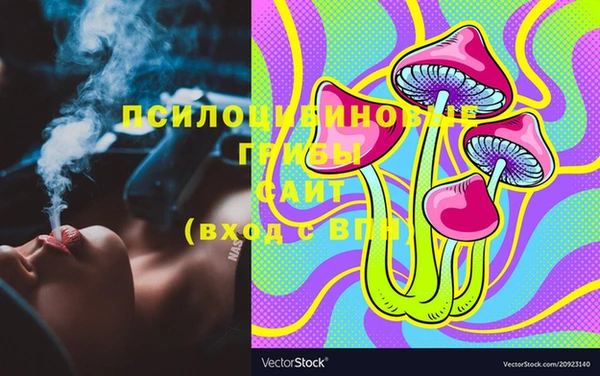 хмурый Лагань