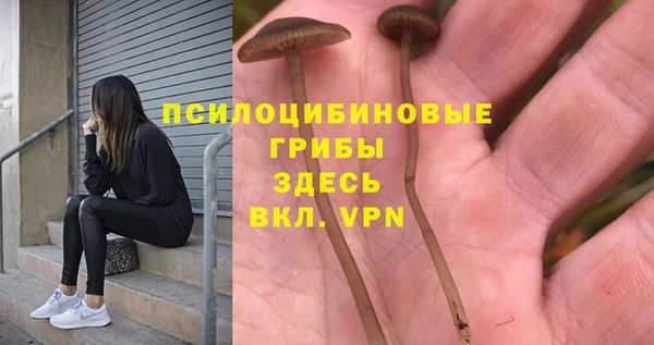 2c-b Краснослободск