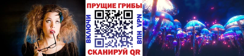 Галлюциногенные грибы прущие грибы  Курлово 